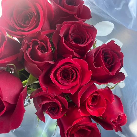 Always Authentic! - Picture 1 of 1